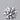 1.00 Carat · ROUND · D · VVS1 · IGI · Ideal Cut