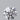 1.01 Carat · ROUND · D · VVS2 · IGI · Ideal Cut