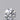 0.30 Carat · ROUND · E · VS2 · IGI · Excellent Cut